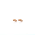 Marine Style Shell Shape Real Gold Plated Brass Earrings for Women Ocean Themed Fashion Jewelry Stud Earrings