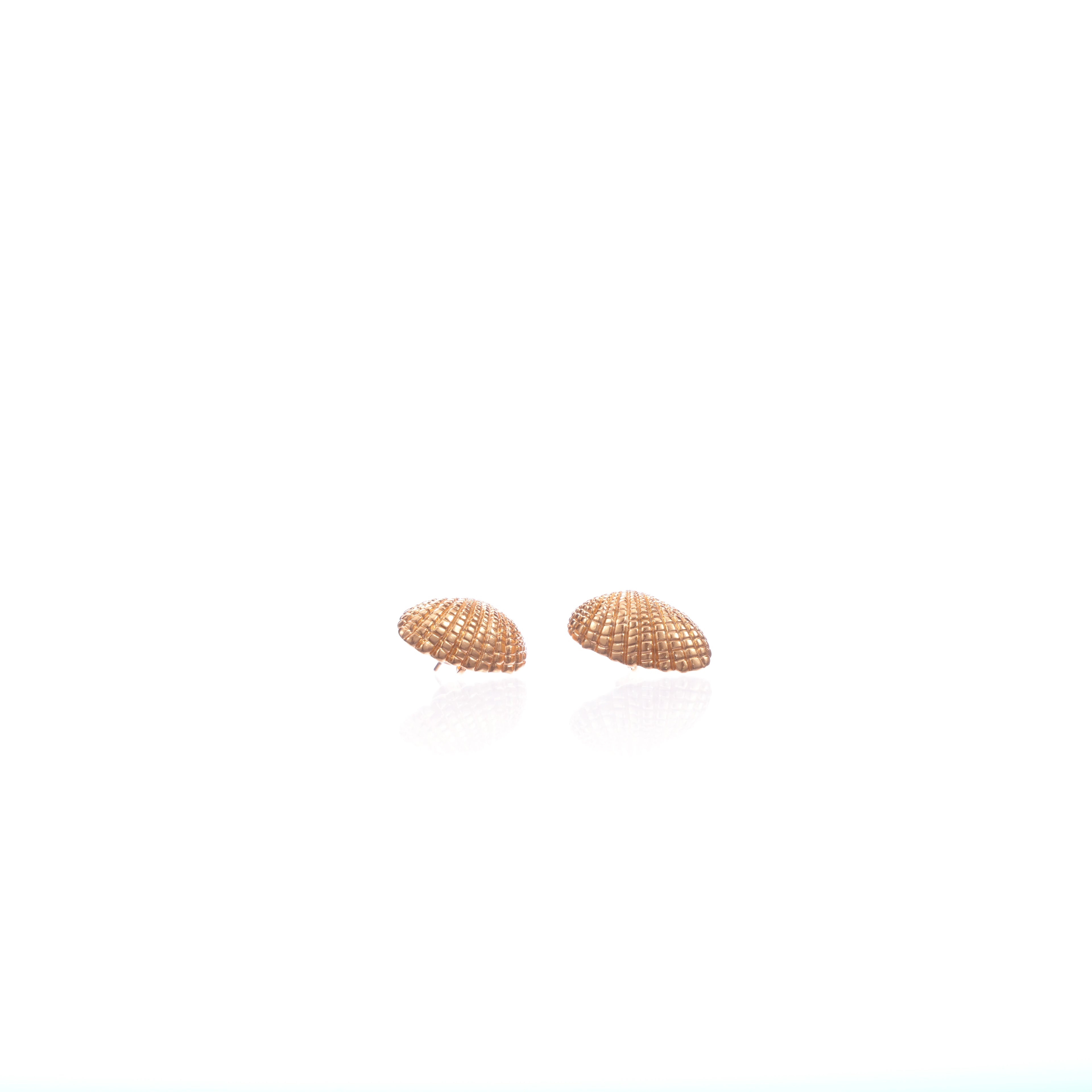 Marine Style Shell Shape Real Gold Plated Brass Earrings for Women Ocean Themed Fashion Jewelry Stud Earrings