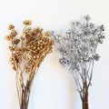 Cool Color Dried Flower Zombie Fruit Kiwi Fruit Immortal Flower Accessories Floral Wholesale