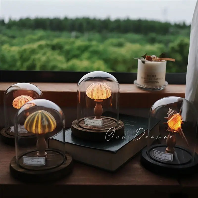 Hot Selling Minimalist Retro Shell Sea Urchin Conch Lamp Small Night Light Ornament Handmade DIY Material Package Creative Gift