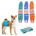 Stocked Wholesale Washable Dog Cloth Pants Diaper Sanitary