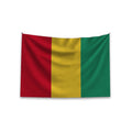 Custom 100% Polyester Guinea Flag for Outdoor Advertising Promotional Banderas De Paises with Digital Printing Techniques