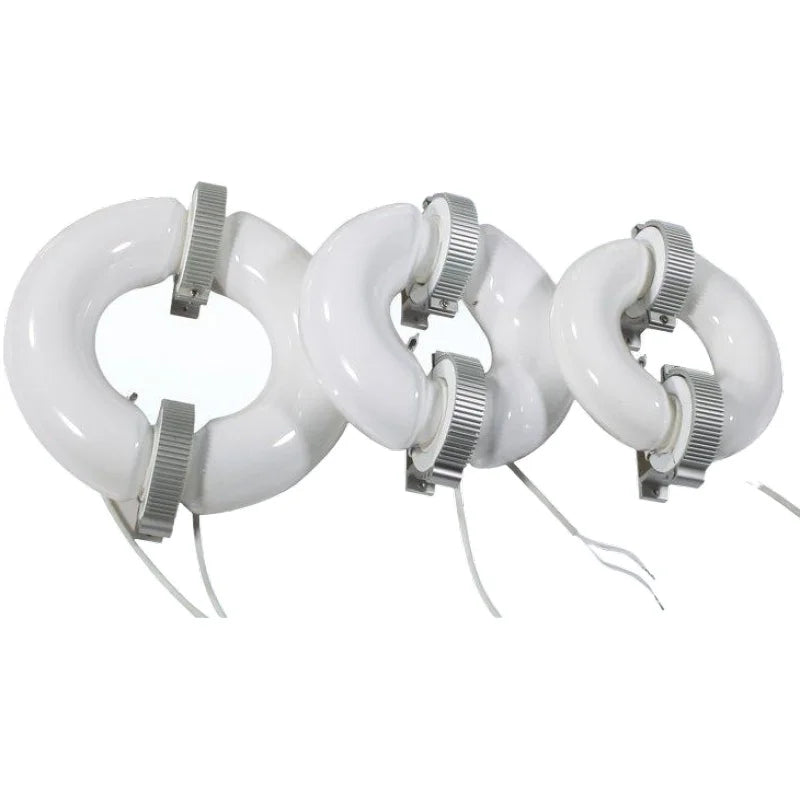 XPES E40 Base Induction Lamps 150W & 200W with Ballast