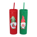Wholesale 16oz Double Wall Reusable Matte Plastic Water Bottle Acrylic Skinny Tumbler with Lid Straw BPA Free in Bulk
