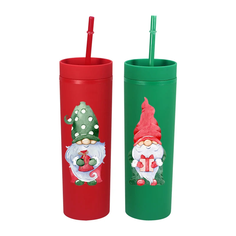 Wholesale 16oz Double Wall Reusable Matte Plastic Water Bottle Acrylic Skinny Tumbler with Lid Straw BPA Free in Bulk