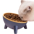 Wholesale Modern BPA Free PET Cat Bowls with 15 Degree Oblique Mouth Rounded Design for Small Pets Water & Food Feeders