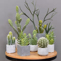 Wholesale Artificial Plastic Cactus Bonsai Succulents Indoor and Outdoor Decoration Trees
