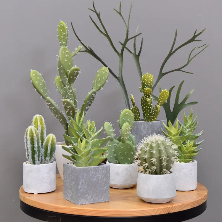 Wholesale Artificial Plastic Cactus Bonsai Succulents Indoor and Outdoor Decoration Trees
