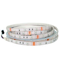 Hot Sales SMD5050 30LEDs/m 5M RGB 12V DC IP65 Waterproof Flexible PCB Dimmable CRI75 Remote Control Light Strings