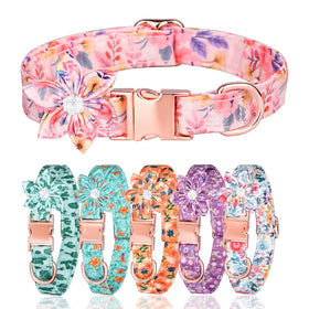 Designer Custom Logo Pet Dog Cat Collars Adjustable Cotton with Hardware Buckle Personalized Dog Leash and Collar