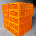New 96x56x27cm Large Orange PP H-Type Chicken Crates Live Poultry Transport Cage with Lid Long Service Life