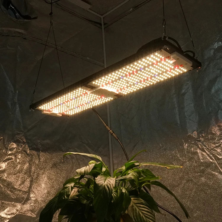 Shenzhen Kingbrite 240W Board LED Grow Light Samsung LM301H Mix 660nm UV IR Seperate Control System