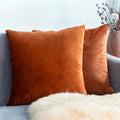 Burnt Orange Decorative Throw Pillow Covers Velvet Cushion Covers/Solid Throw Pillow Cases for Couch and Bed Pillows