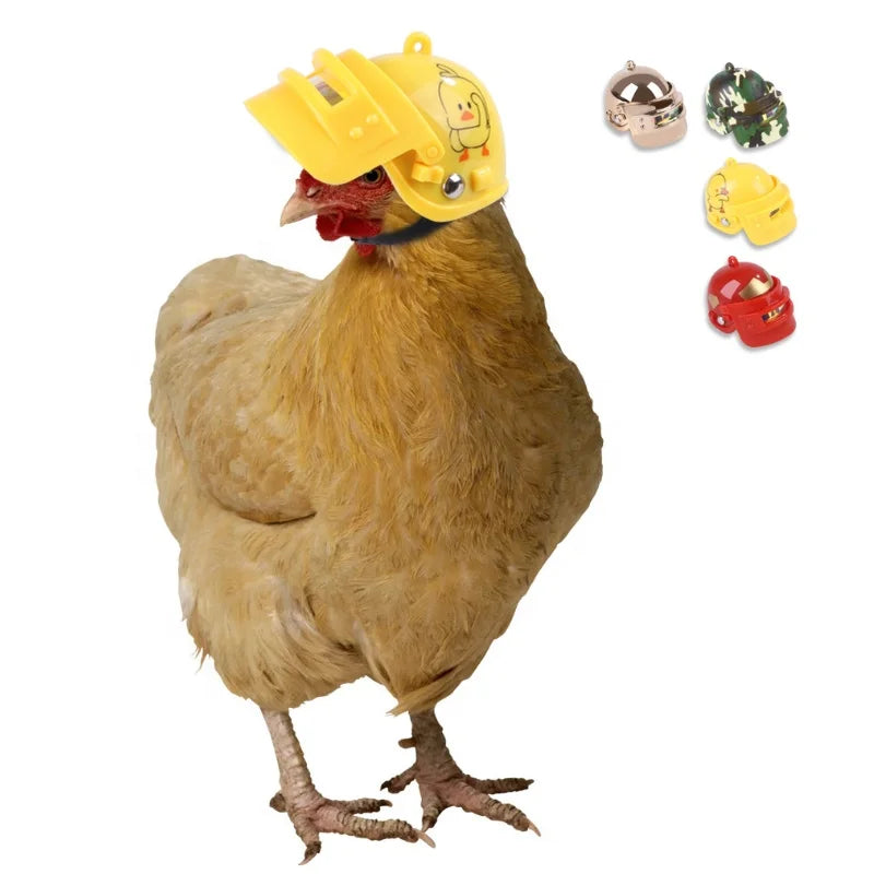 New Pet Products Protective Chicken Helmet Bird Hat Bird Headgear