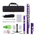 Closed Hole C Flute 16 Keys Cupronickel Nickel-plated Wind Instrument with Carry Case Flute Stand Cleaning Cloth Mini Scr