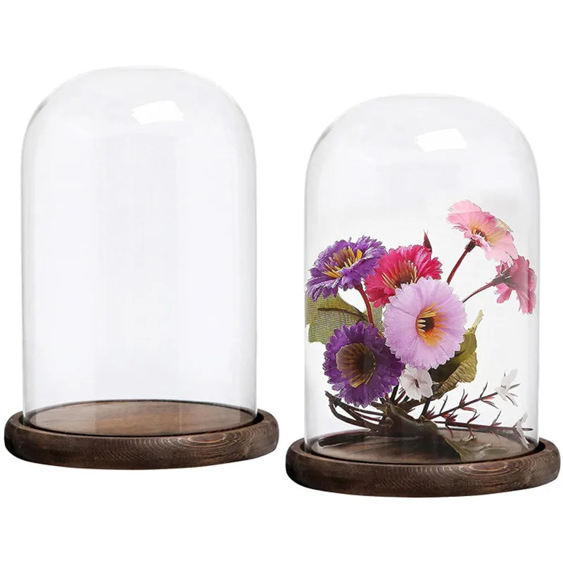 Clear Cloche Bell Glass Dome Decorative Tabletop Cloche Jar Case with Rustic Dark Brown Wood Base