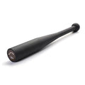 ZJFIT Factory Hot Selling Custom LOGO Steel Indian Clubbell 100kg Portable for Weightlifting Strength Training