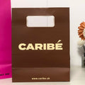 Luxury Logo Printed Bag Eco-Friendly White Brown Printing Matt Finish Paper Shopping Bag