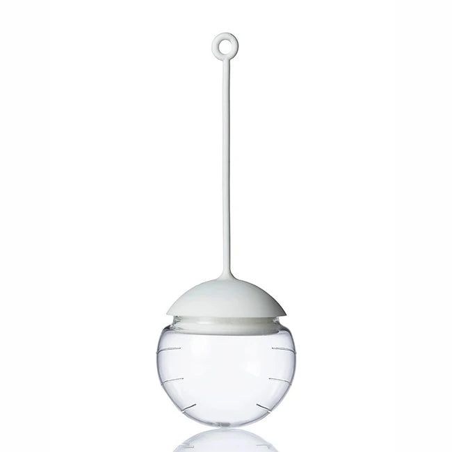 2026 Creative Borosilicate Glass and Silicone Tea Ball Strainer Infuser for Loose Leaf Tea with Tray