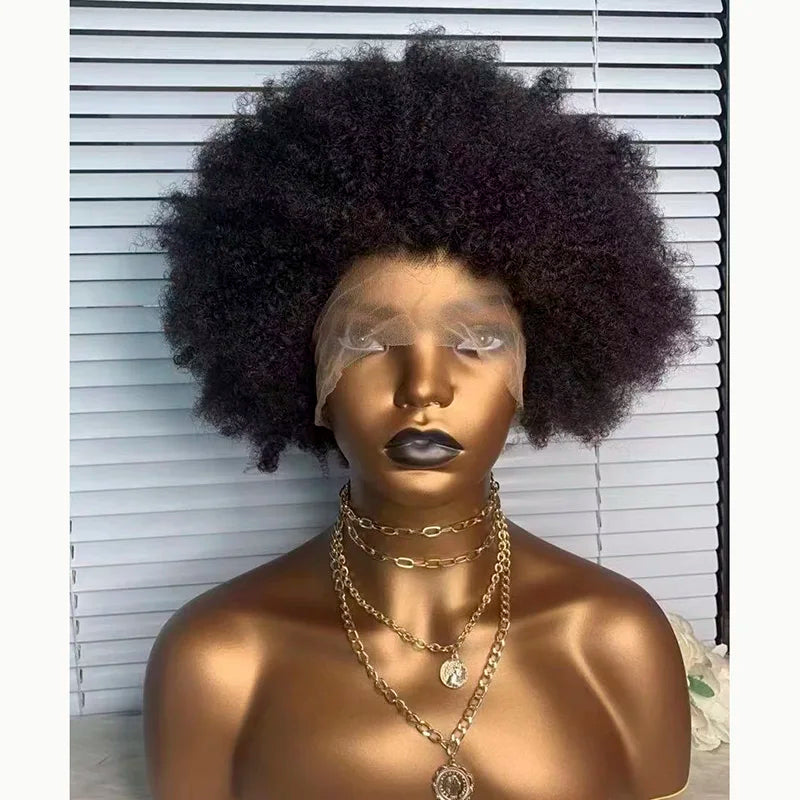 Wholesale Glueless High Puff 4B 4C Afro Kinky Curly 100% Natural Raw Vietnamese Human Hair Hd Lace Frontal Wigs for Black Women