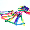 Factory Direct Cheap Sale Cheap rainbow Dog Harness with Leash in Set