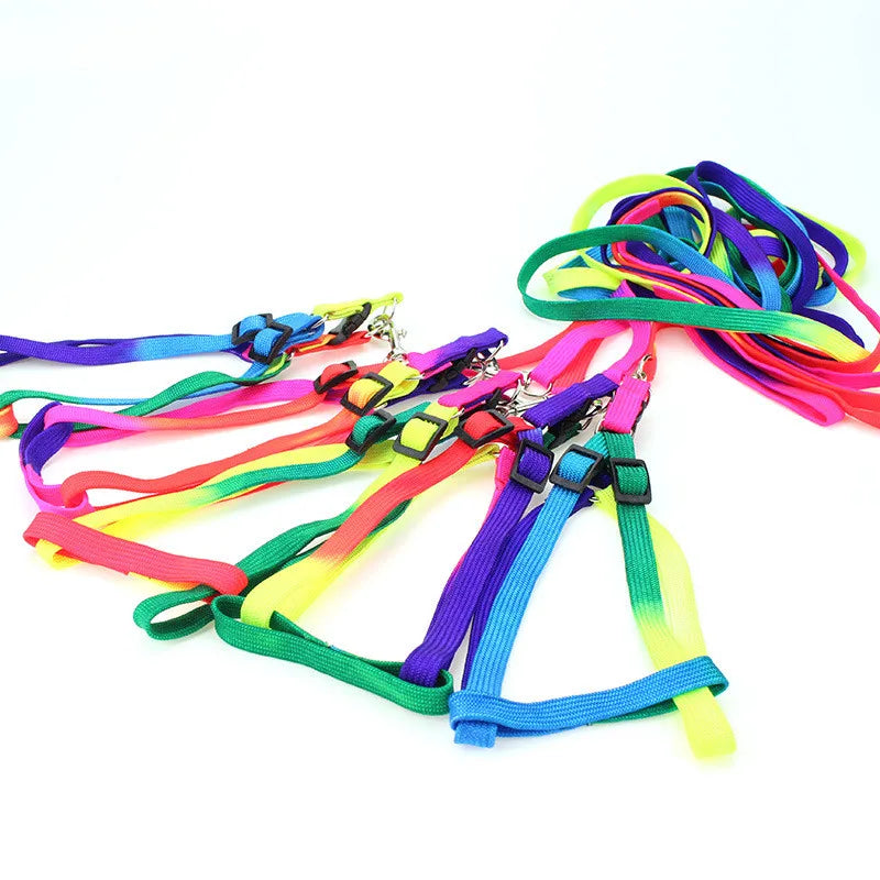 Factory Direct Cheap Sale Cheap rainbow Dog Harness with Leash in Set