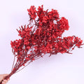 Handmade Christmas New Year's Eve Everlasting Air Dried Preserved Flower Bouquet Ornament Welcome Butterfly Design Long Lasting MegaBDM