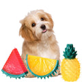 Pet Molar Cooling Chewing Gum Fruit Toy Sound Frozen Fruit Series Summer Pineapple Pet Toy Watermelon Lemon Chew TPR Toy
