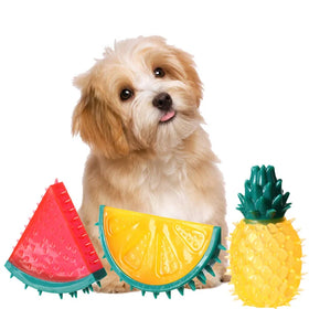 Pet Molar Cooling Chewing Gum Fruit Toy Sound Frozen Fruit Series Summer Pineapple Pet Toy Watermelon Lemon Chew TPR Toy