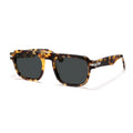 DONGJUN Custom Brand Private Label Unisex Luxury Premium Designer Acetate UV400 Photochromic Sunglasses 4 Colors