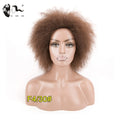 Dream Ice's Hair Yaki Afro Kinky Curl Synthetic Wig Short Curly Fluffy Heat Resistant Soft Tangle Free Mixed Colors Women