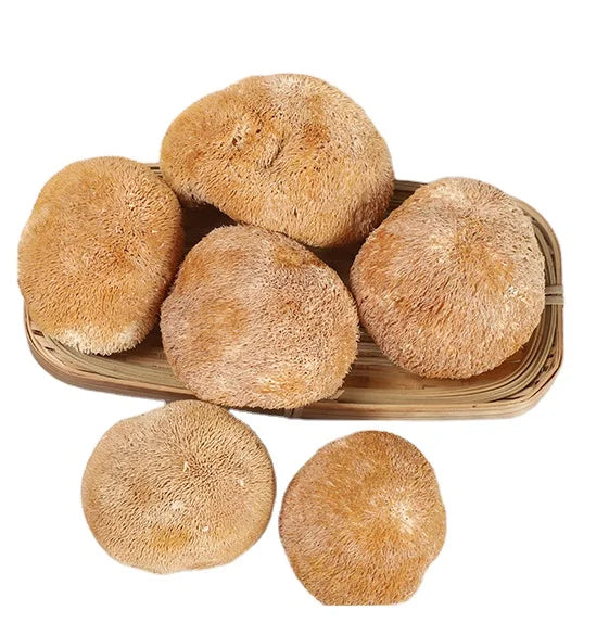 1kg Hericium Erinaceus Fungus Raw Natural Bulk Dried Hericium Erinaceus Mushroom for Sale