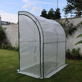 C156 Small Walk In Garden Greenhouse Easily Assembled Eco Friendly Tent Greenhouses Garden Grow Mini Type And Feature