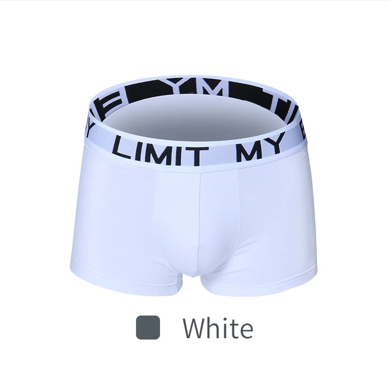 100% Cotton / Modal  Underwear Manufacturer Custom Mens Trunks Underwear Shorts Boxer Briefs Hombre