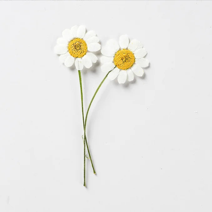 Real Pressed Dried Chamomile Single Flower with Stem Natural Epoxy Flower Specimens for Mother's Day and Christmas