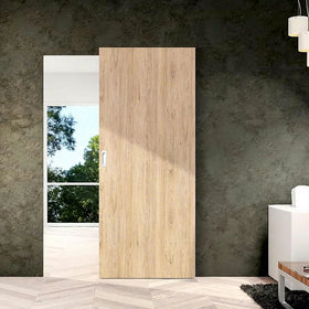 Chinese Top Manufacturer Interior Wood Doors with Wall Mount Sliding System Modern Barn Doors Trackless Sliding Door