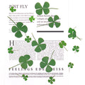 R458 Dried Four Leaf Clover for Resin Pressed 4 Leaf Clover Real Dried Pressed Flowers