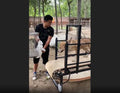 China Factory Dog Treadmill Running Walking Machine Pets Customized  logo  Dog Treadmill for  Large Dogs