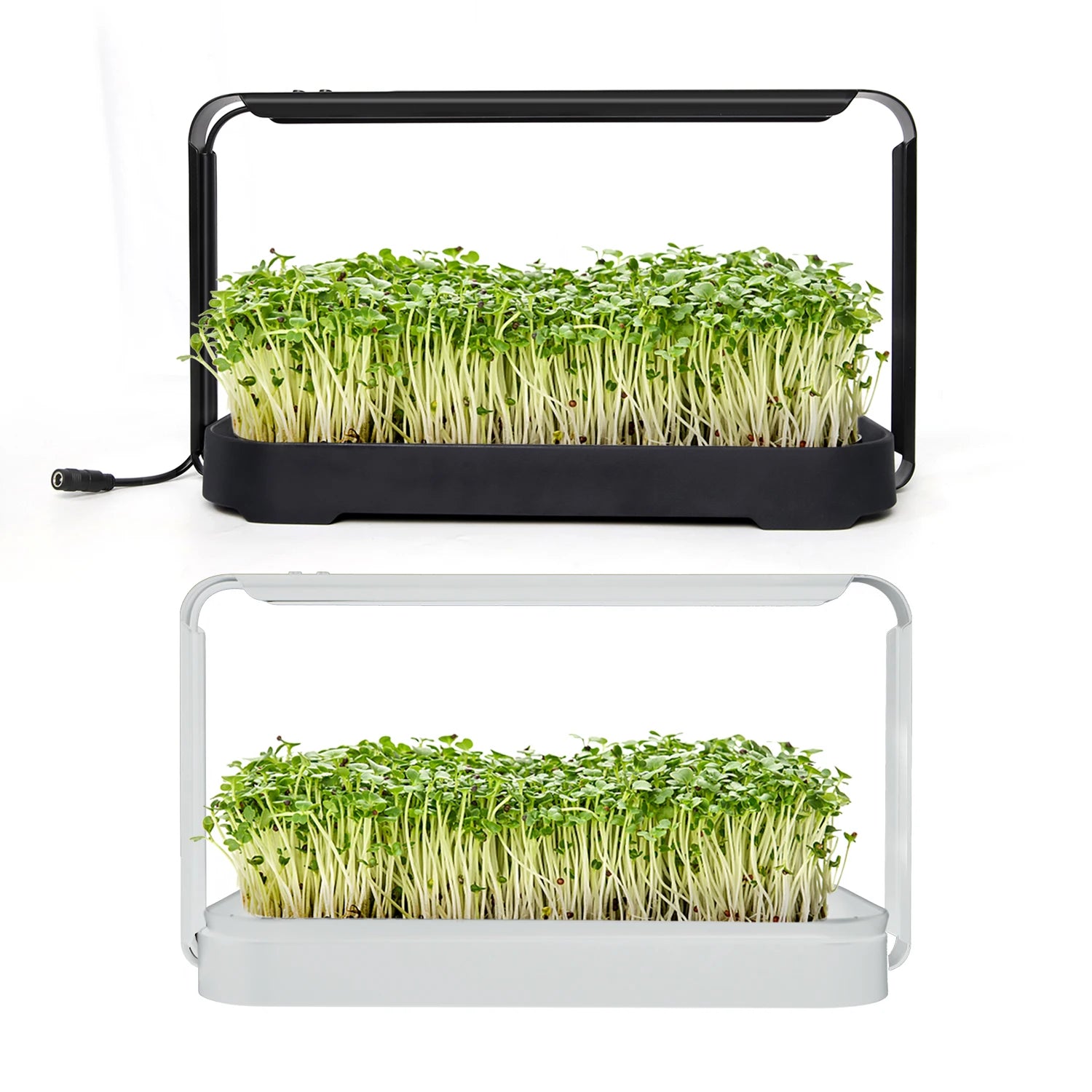 Indoor Desk Micro Green Grow Kit Home Garden Smart Growing System Hydroponic Gardens Grow System with Eu Adapter