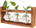New Home Garden Office Wooden Terrarium Stand Tabletop Hydroponics Planter Propagation Station for Wedding Decor