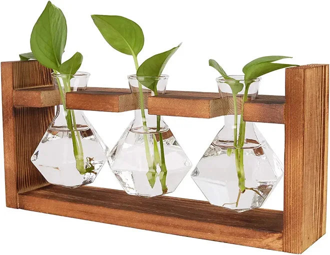 New Home Garden Office Wooden Terrarium Stand Tabletop Hydroponics Planter Propagation Station for Wedding Decor