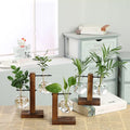 Plant Round Glass Bottle Hydroponic Glass Vase for Flower or Water Plant With Wooden Support for Home Decoration