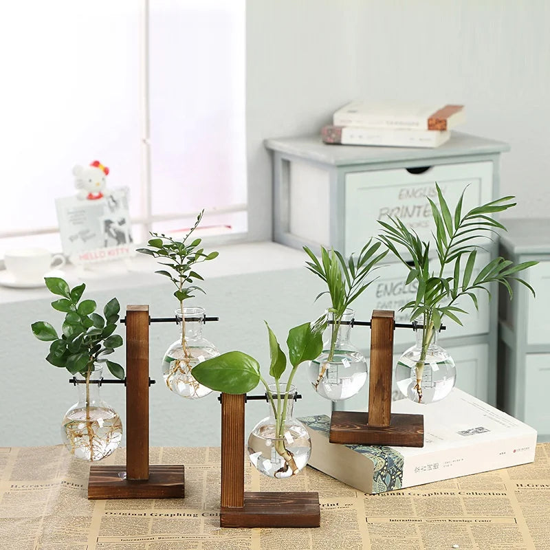 Plant Round Glass Bottle Hydroponic Glass Vase for Flower or Water Plant With Wooden Support for Home Decoration