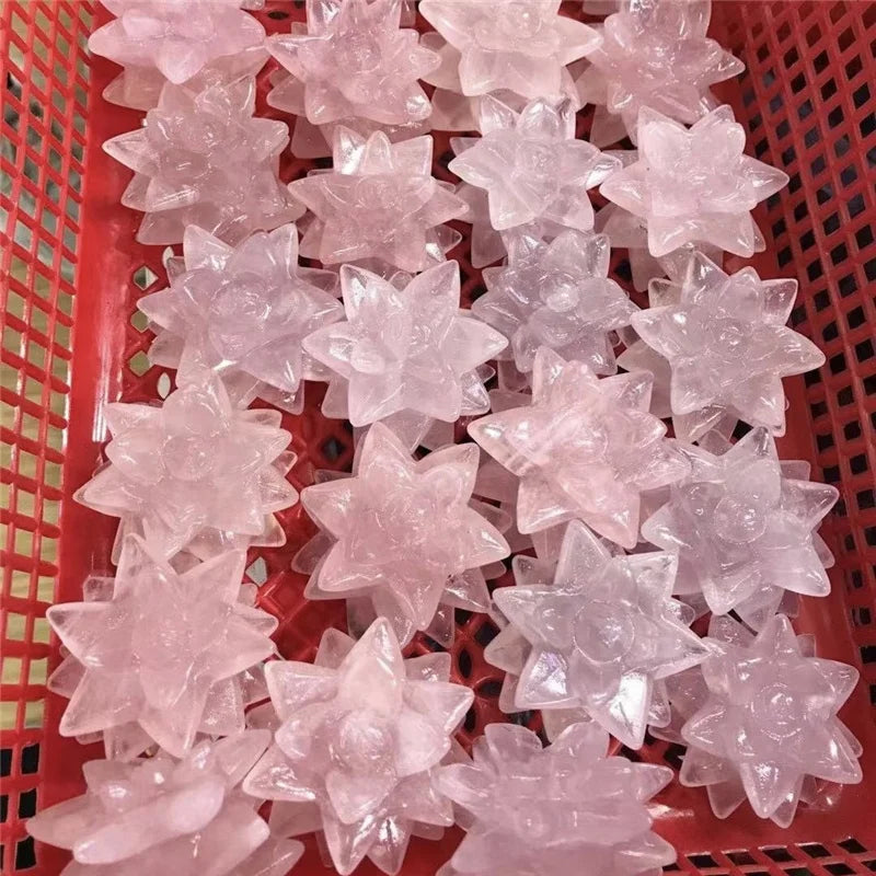 Wholesale Natural Gemstone Hand Carved Various Succulent Crystals Plants