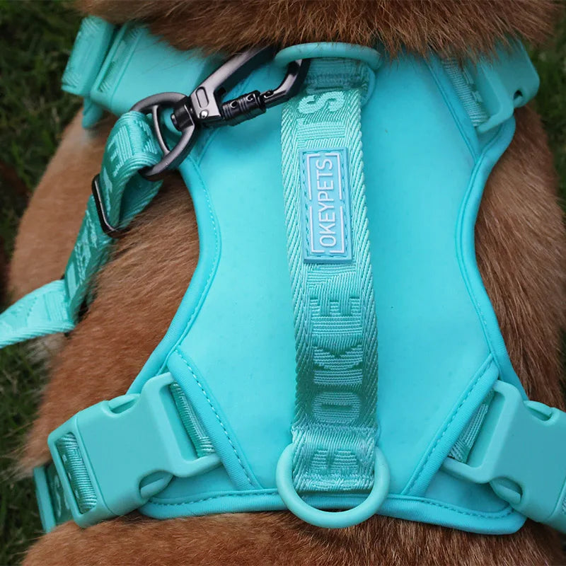 Custom Color New Designer Fashion Sport Dog Harness Soft Breathable Mesh Simple Nylon Dog Leash and Harness