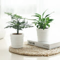White Lazy PP Cute Garden Planters Plastic Bonsai Pot Flower Indoor Plants Automatic Self Watering Plant Pots