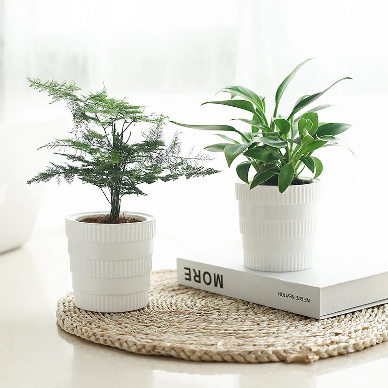 White Lazy PP Cute Garden Planters Plastic Bonsai Pot Flower Indoor Plants Automatic Self Watering Plant Pots