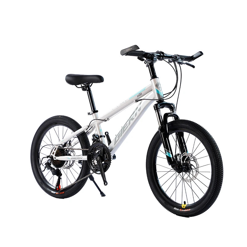 Factory Wholesale Women Men 20 Inch Mountain Bicycle Cheap Price Mountain Bike Bicicleta Bicycle Mtb Bike