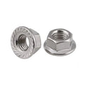 M4 M5 M6 M8 Stainless Steel Hex Flange Nut with Hex Head