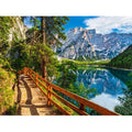 Wholesale 5d Diamond Painting Nature Landscape and Fence Trails Diamond Embroidery Wall Hanging Decor Home Diy Handicrafts